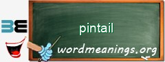 WordMeaning blackboard for pintail